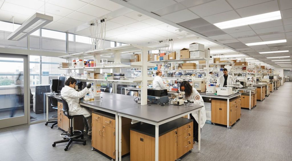 laboratory design l 1024x565 - Check This Out For Laboratory Good Setup